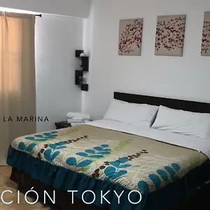 tortuga.cabosanlucashotelsmexico.com/